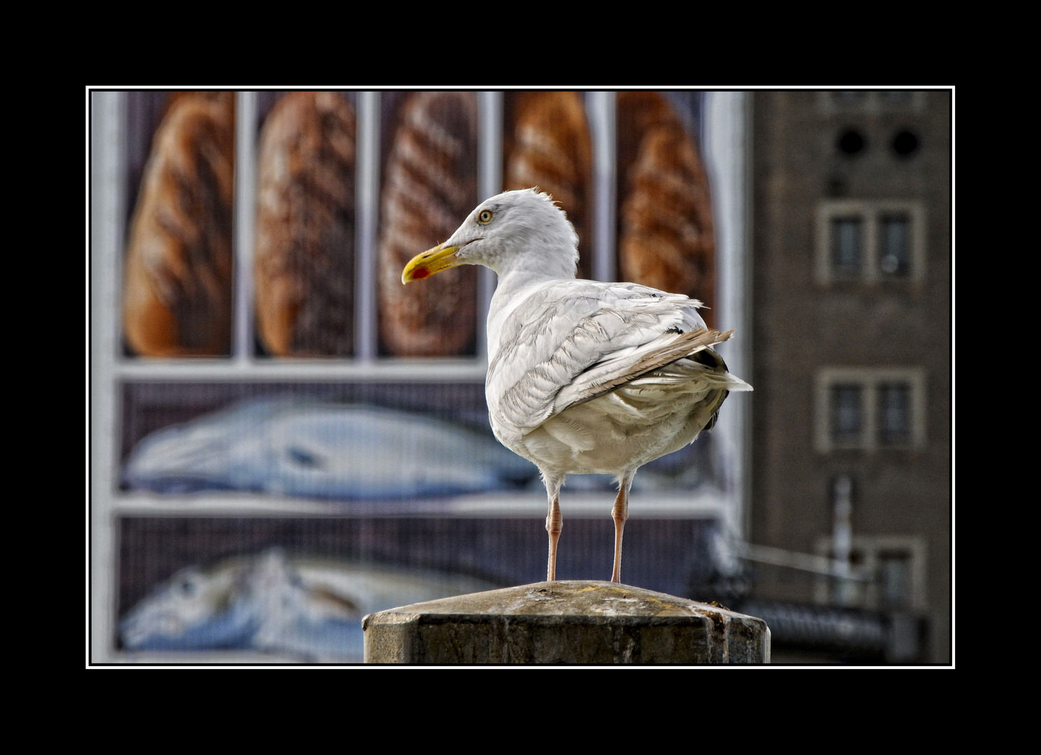 *** Mahlzeit ***