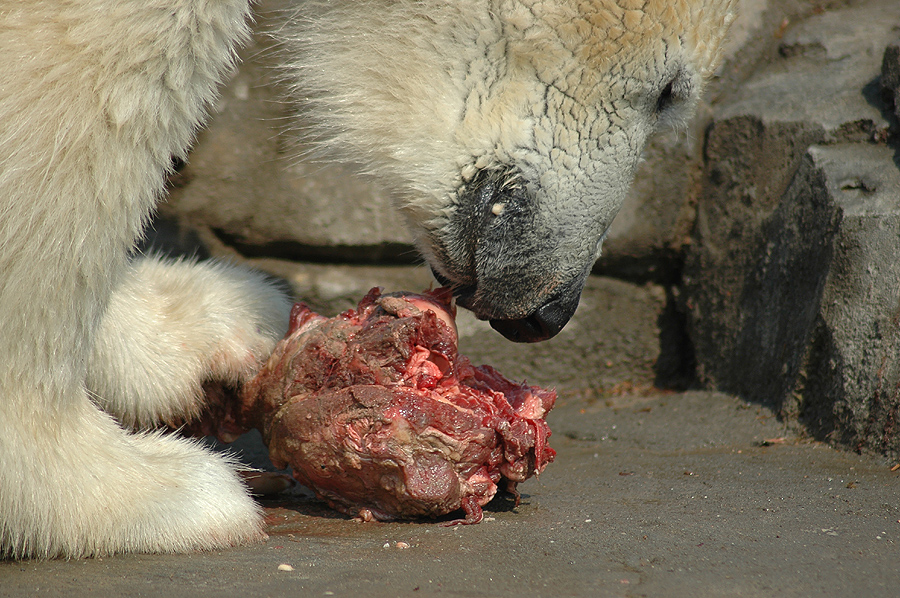 Mahlzeit !