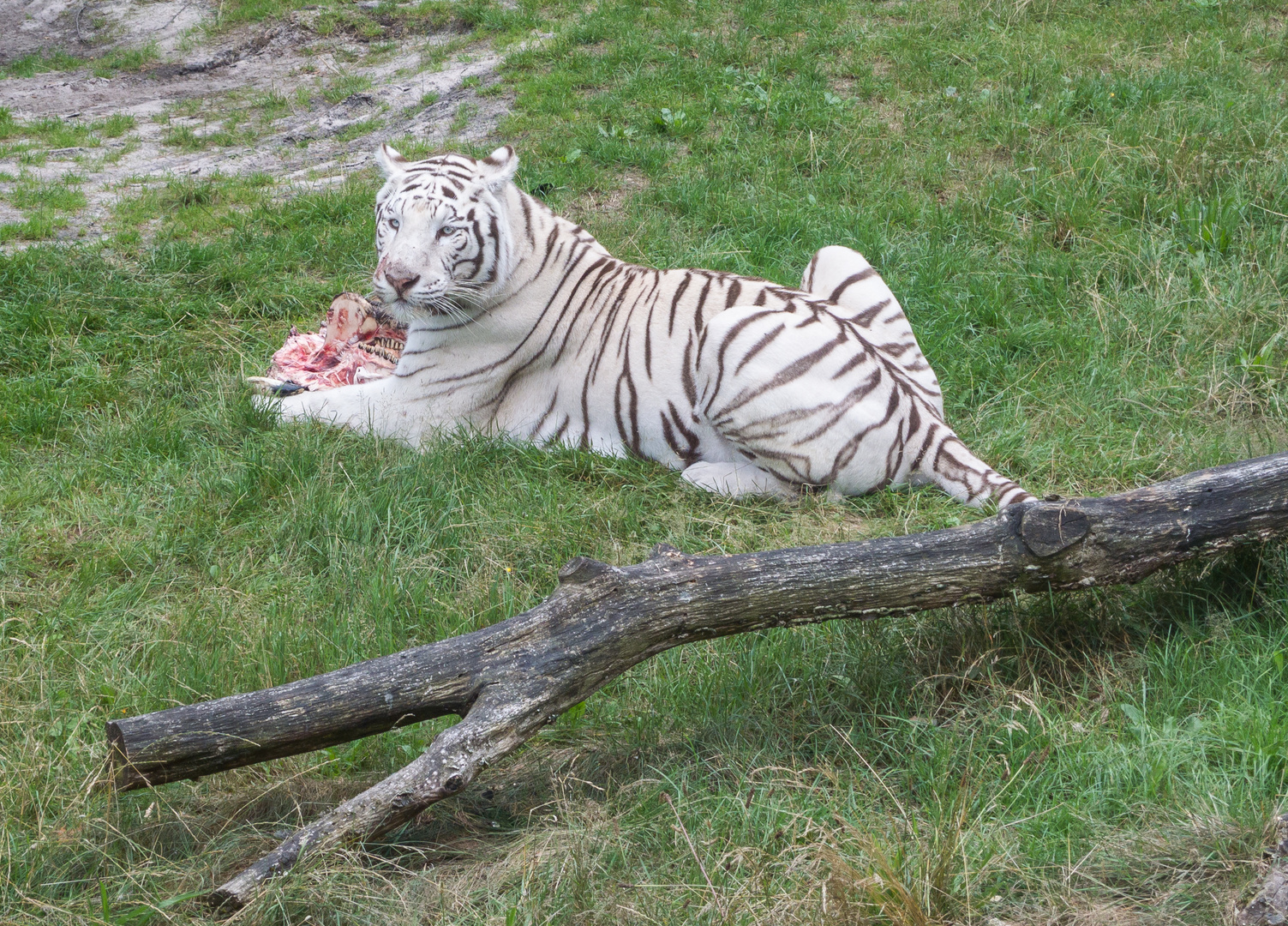 Mahlzeit!