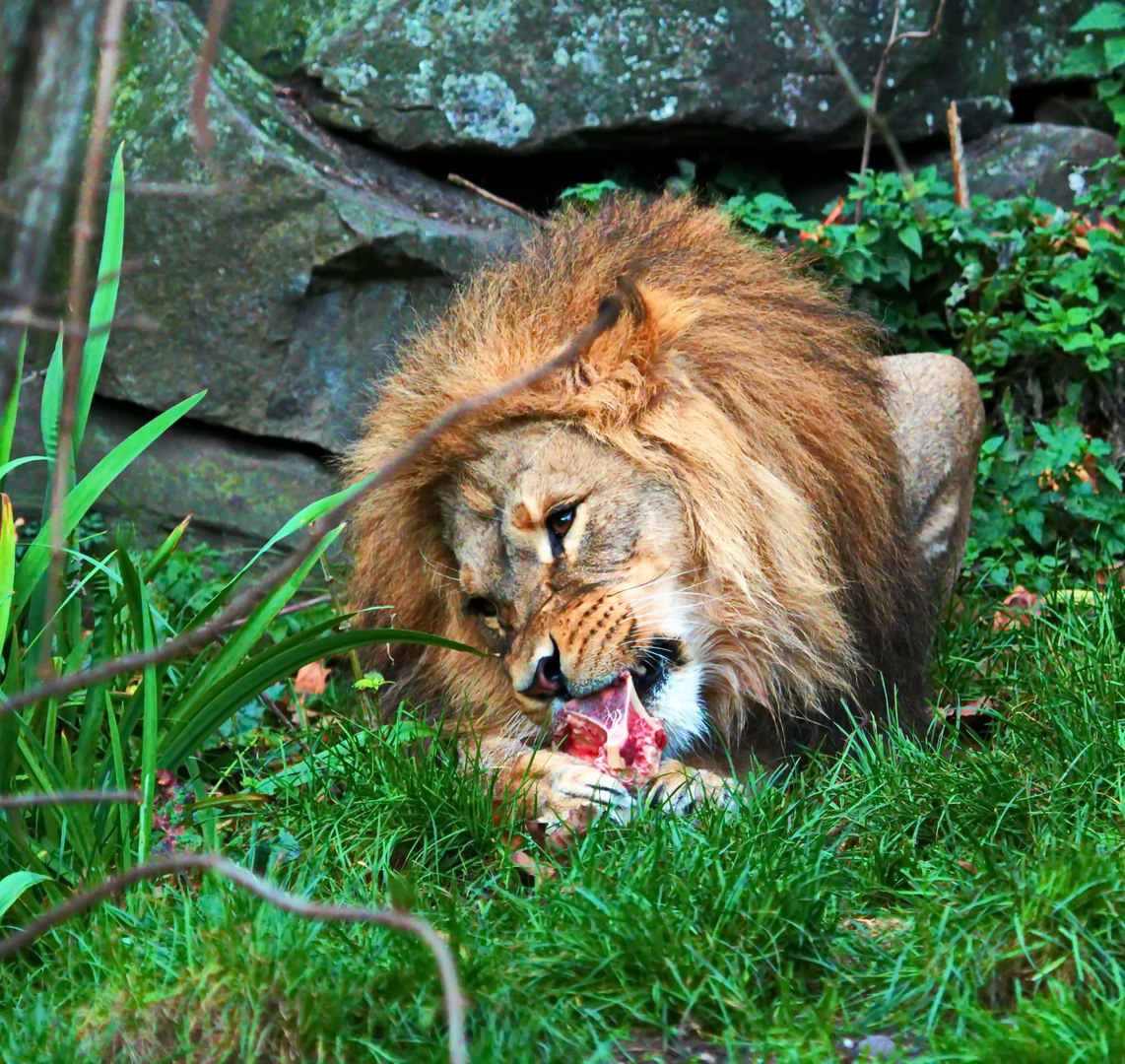 "Mahlzeit"