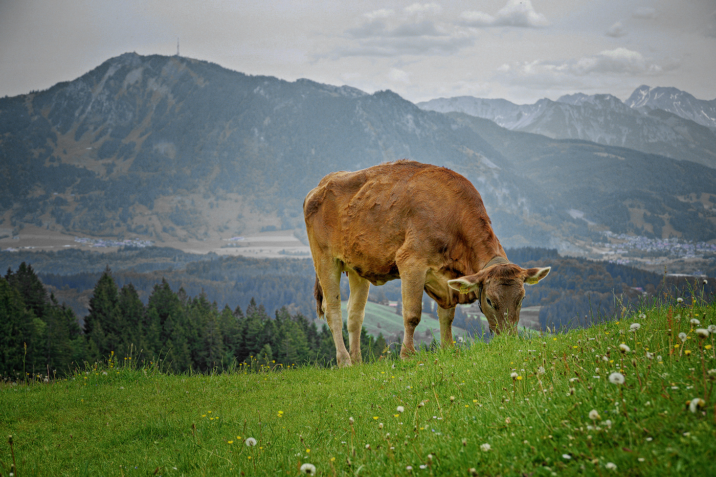 Mahlzeit