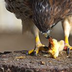 Mahlzeit!