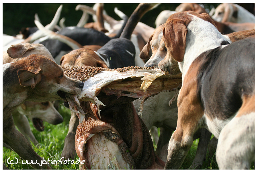 Mahlzeit