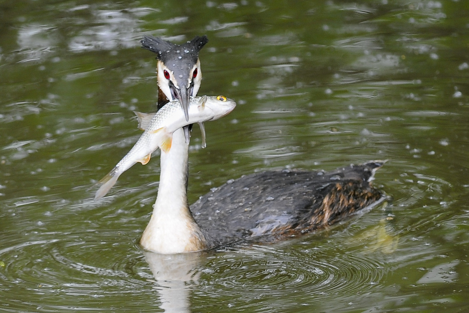 Mahlzeit