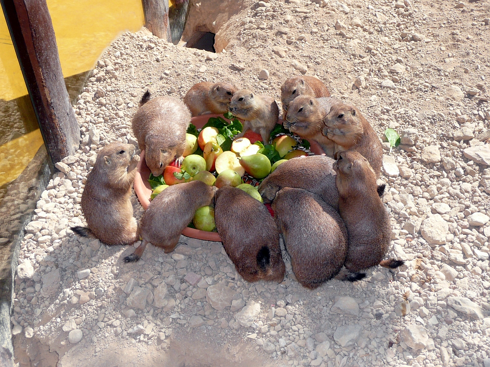 Mahlzeit;-)