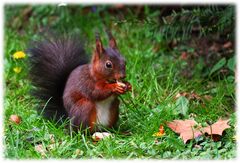 **Mahlzeit**