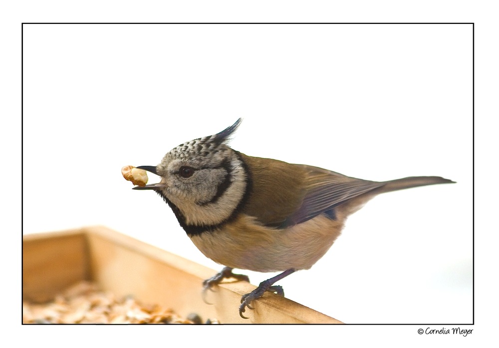 Mahlzeit...