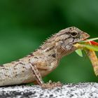 Mahlzeit!