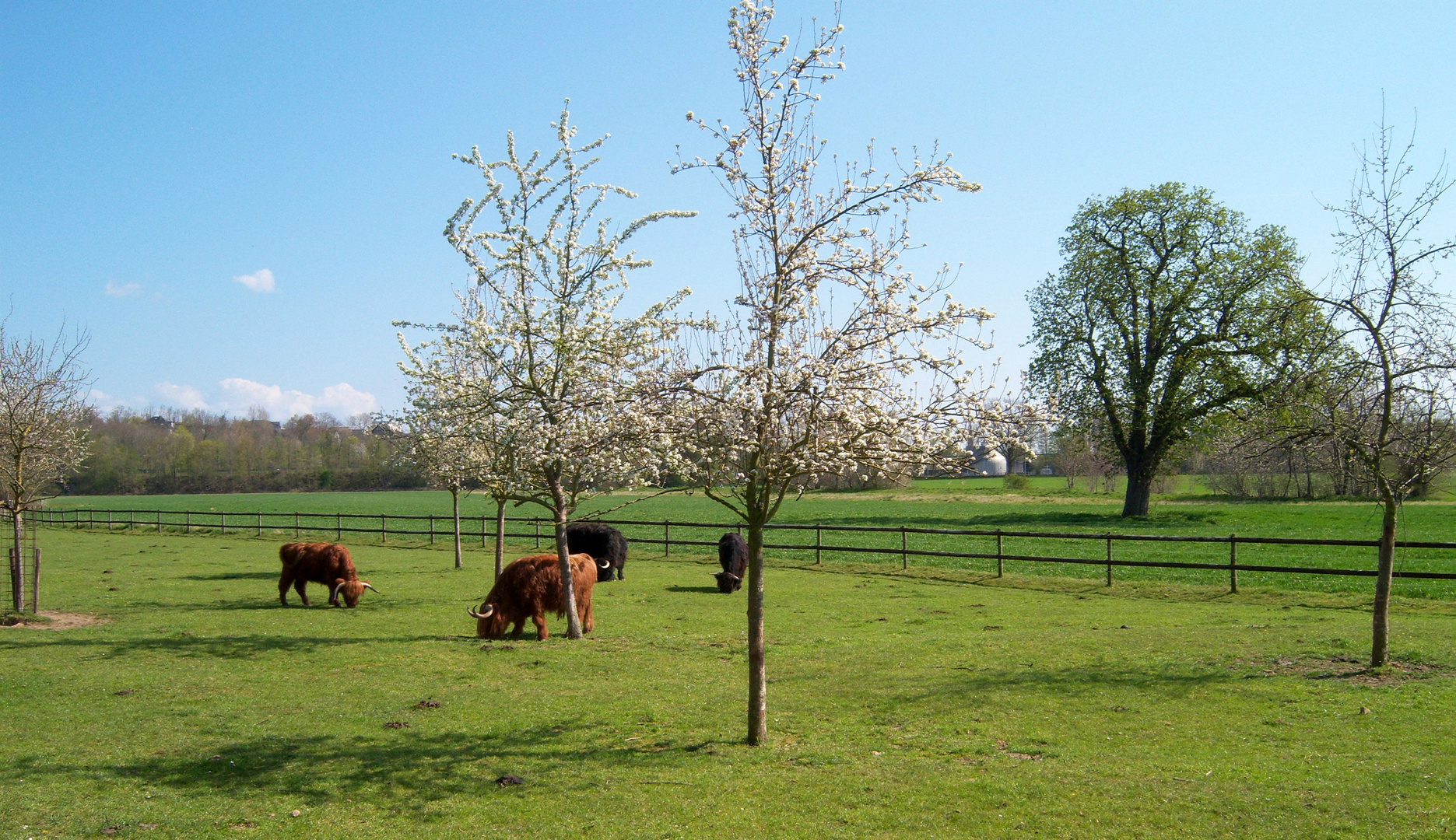 Mahlzeit