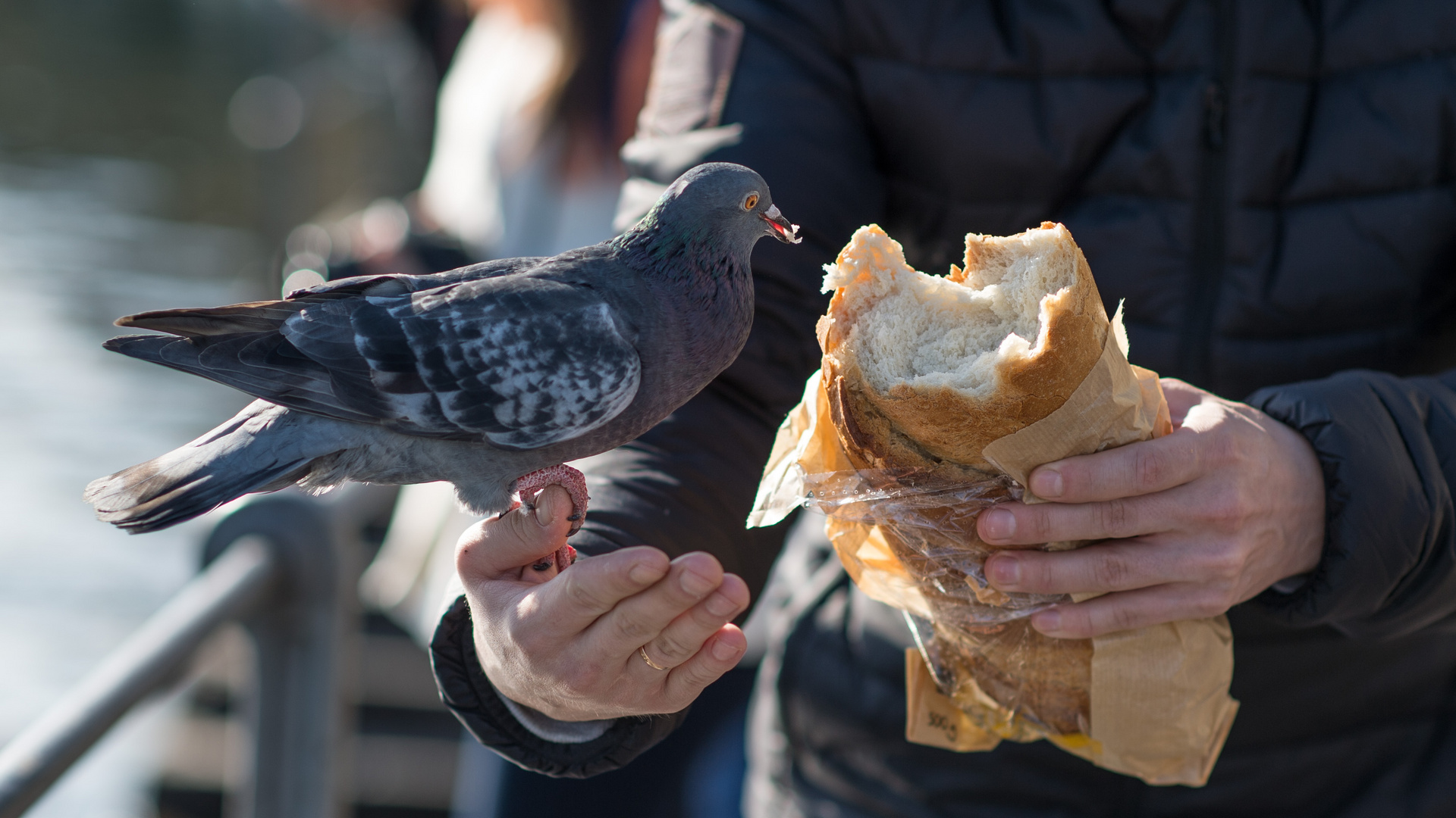 Mahlzeit