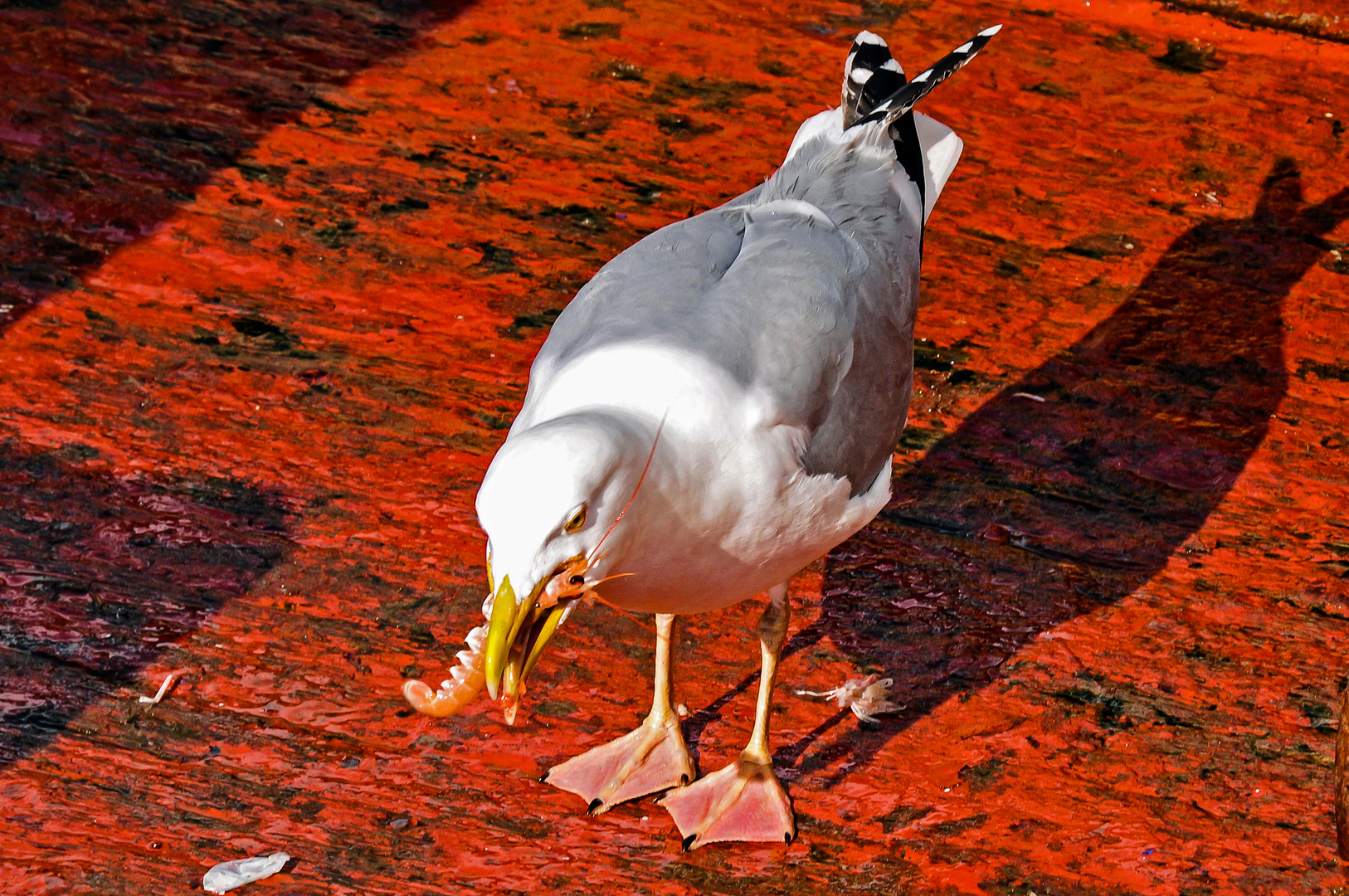 Mahlzeit!