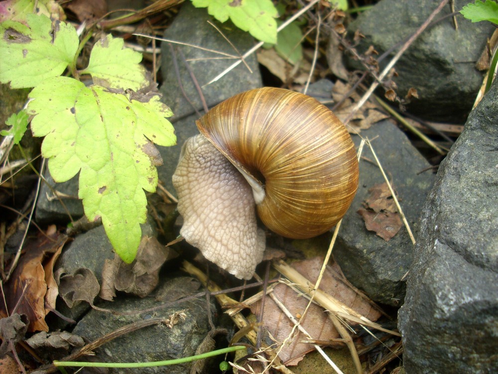 Mahlzeit