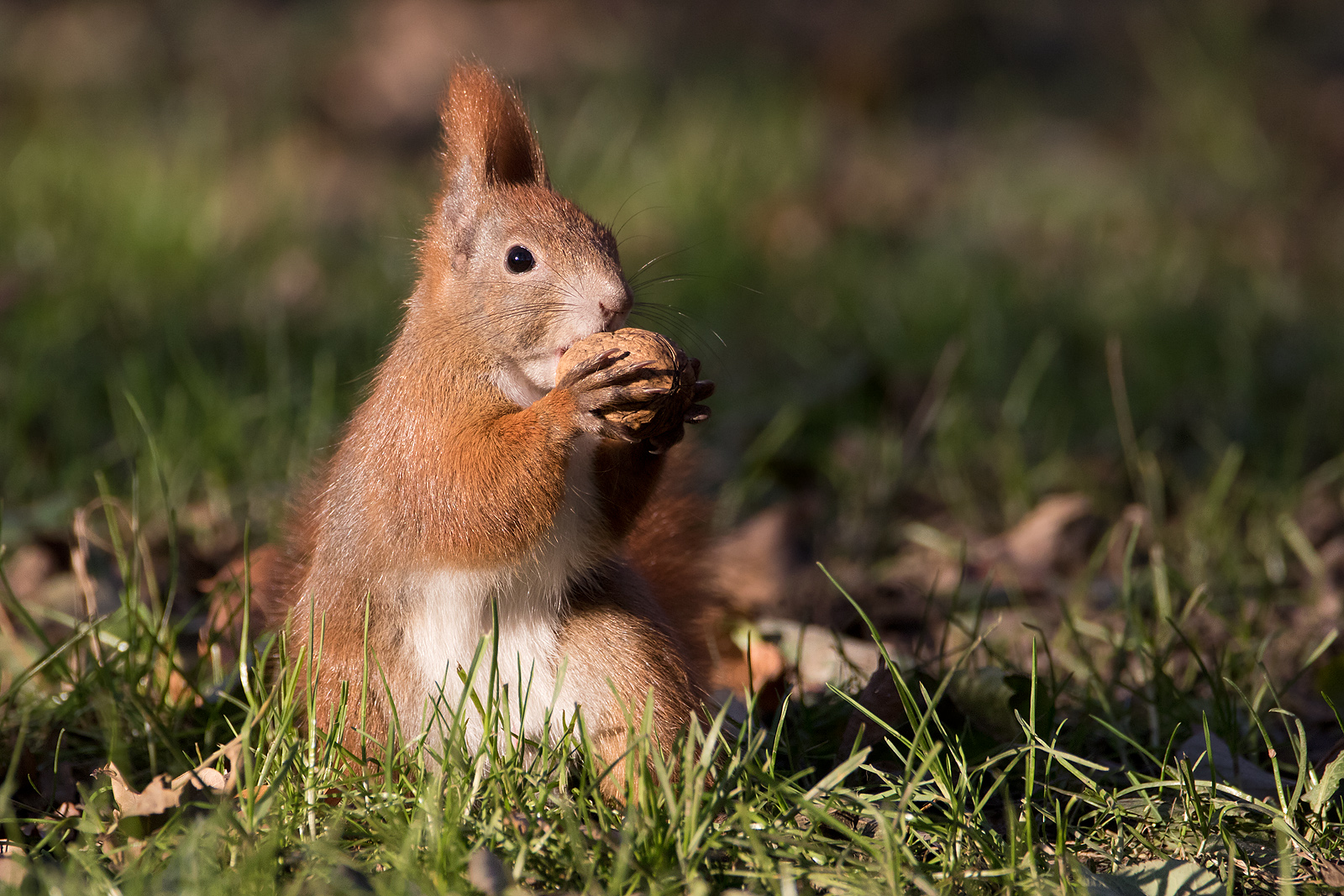 Mahlzeit