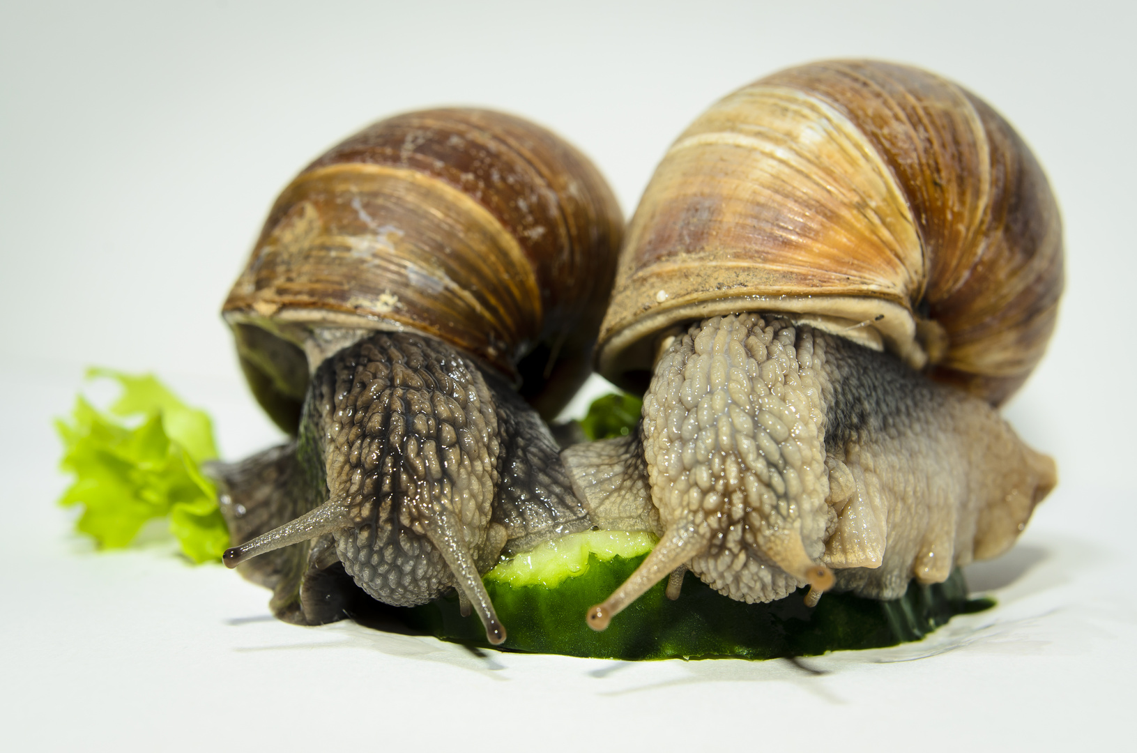 Mahlzeit