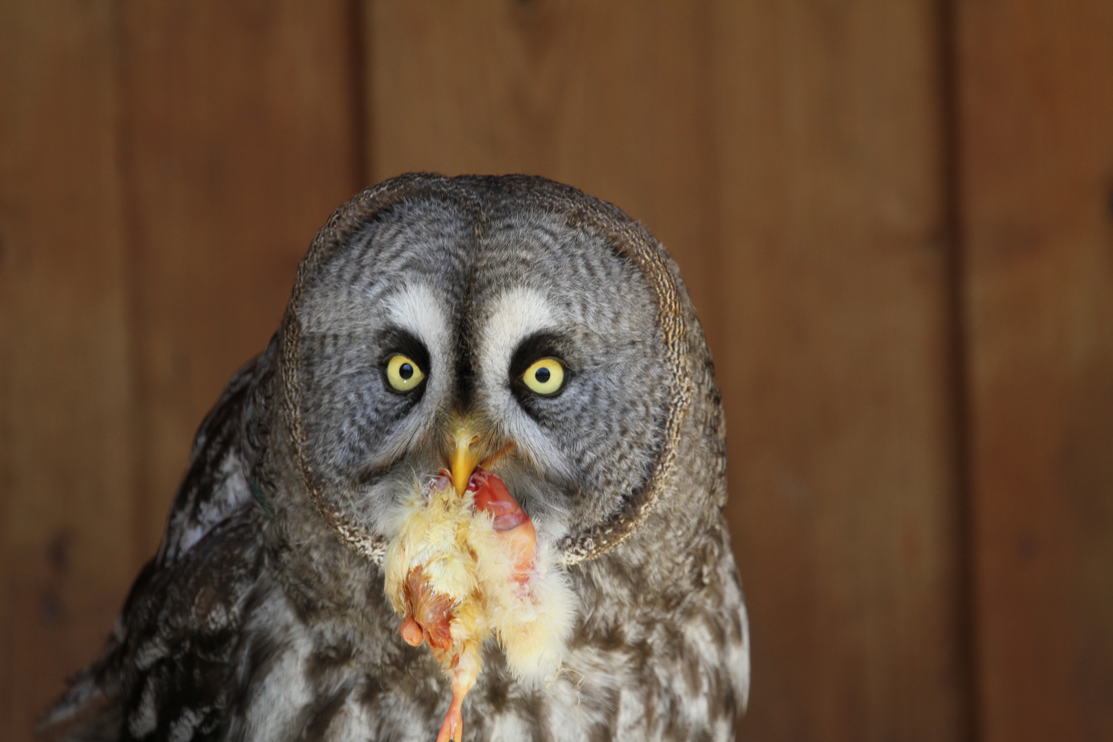 Mahlzeit