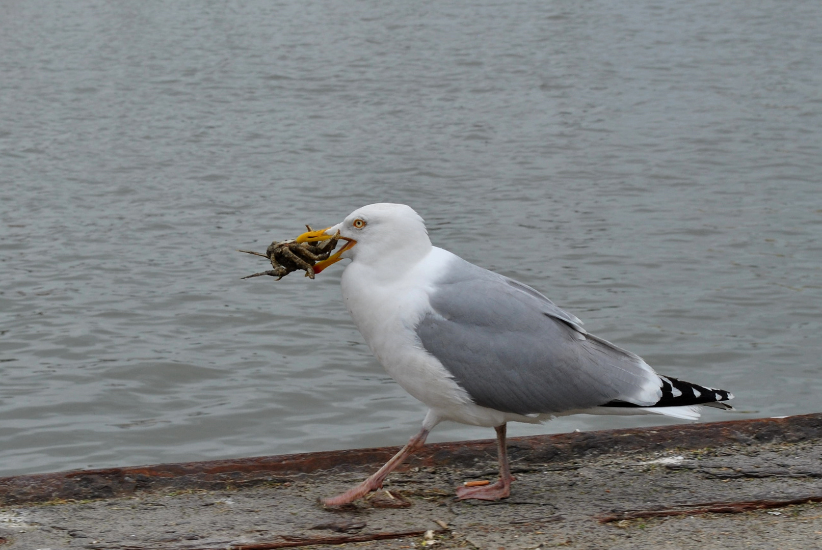 Mahlzeit