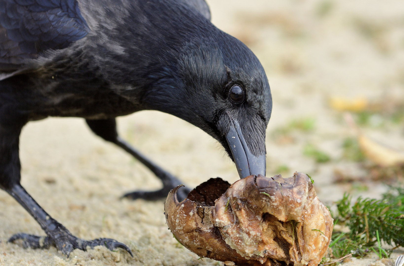 Mahlzeit...