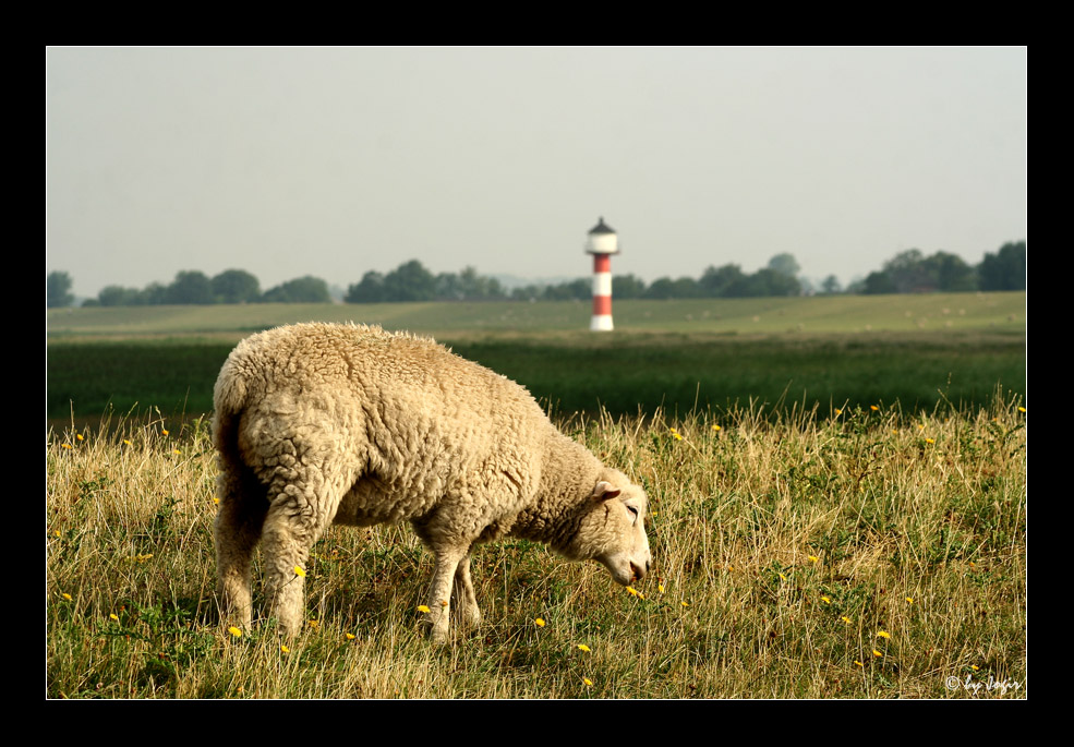 Mahlzeit