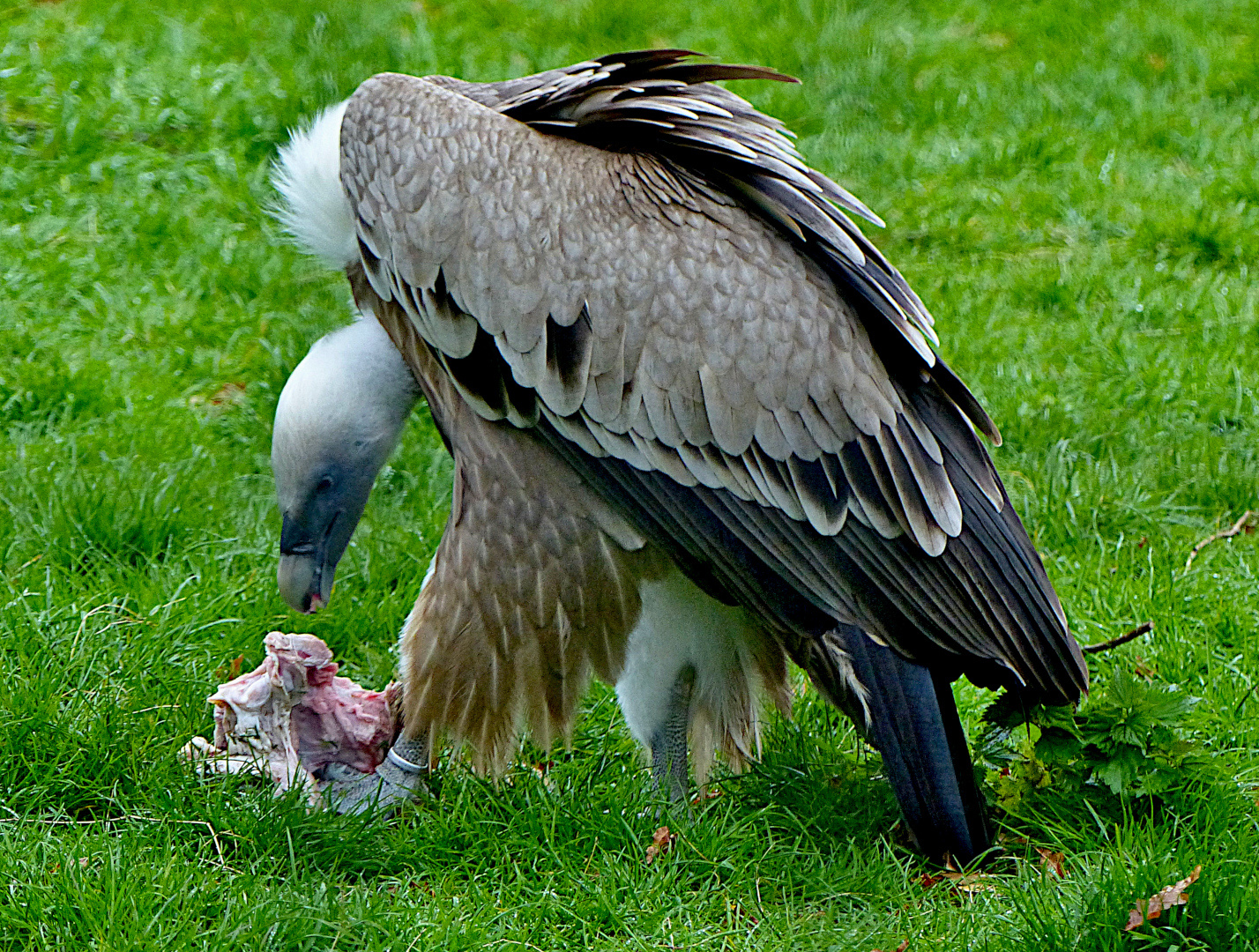 Mahlzeit 