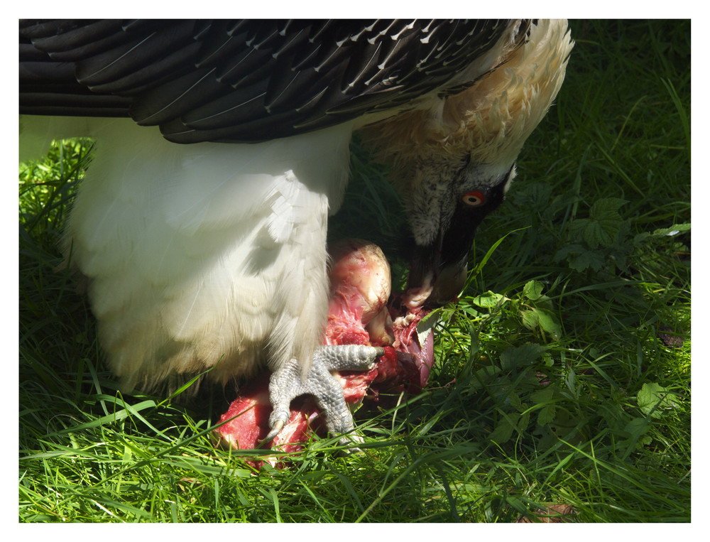 Mahlzeit