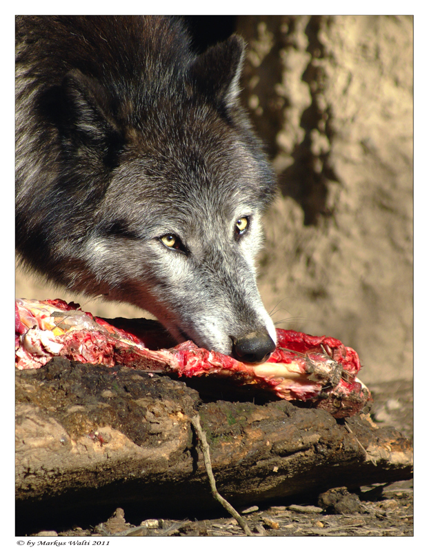 Mahlzeit