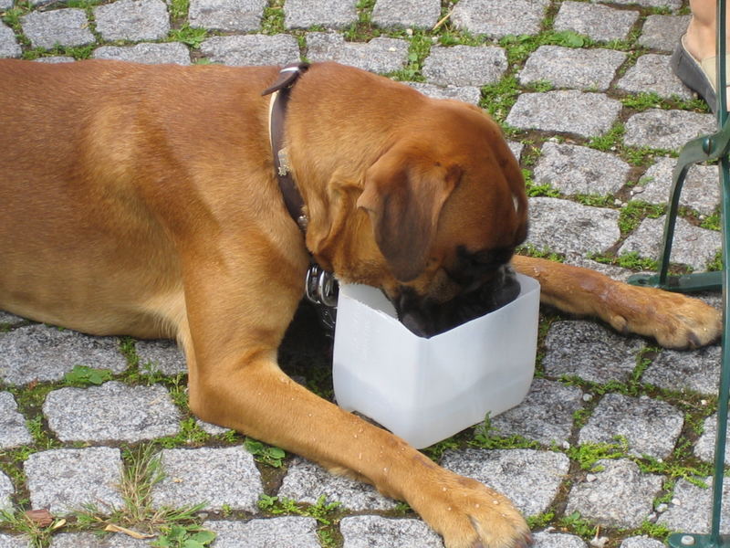 Mahlzeit!