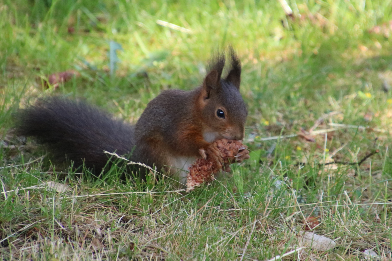 Mahlzeit