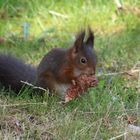 Mahlzeit