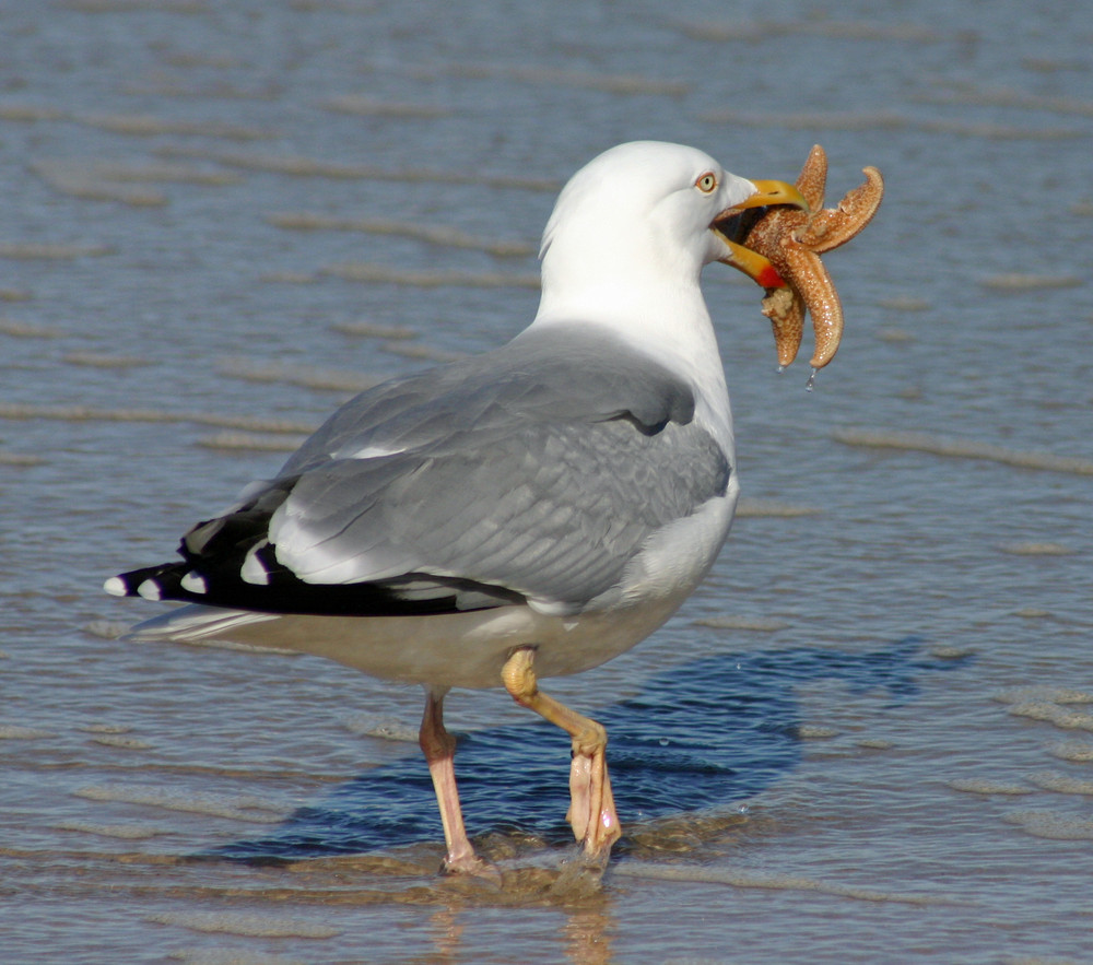 Mahlzeit...!!!