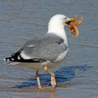 Mahlzeit...!!!