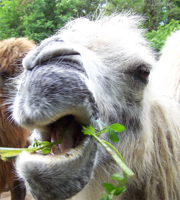 Mahlzeit !!!