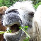 Mahlzeit !!!