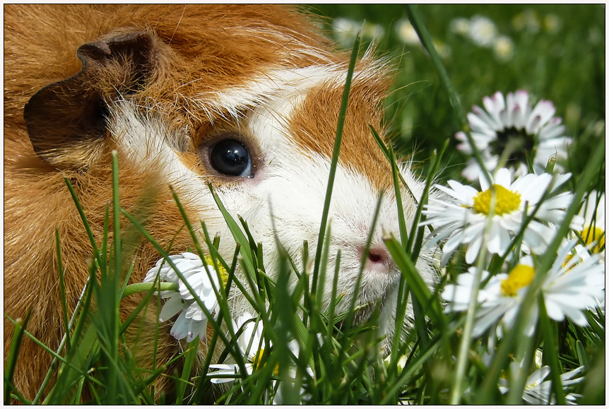 Mahlzeit!