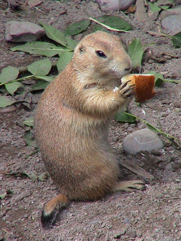 Mahlzeit!