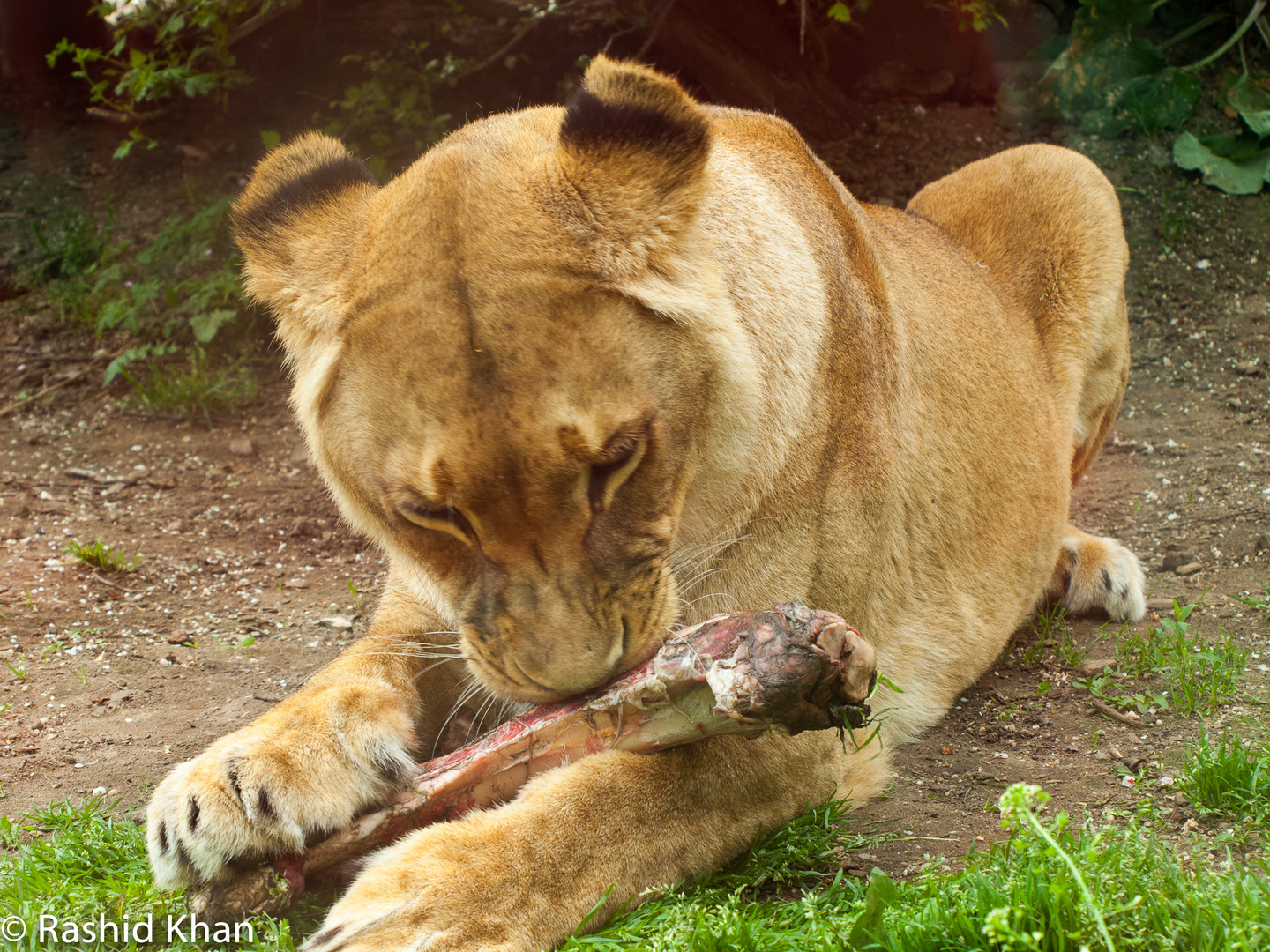 Mahlzeit =)