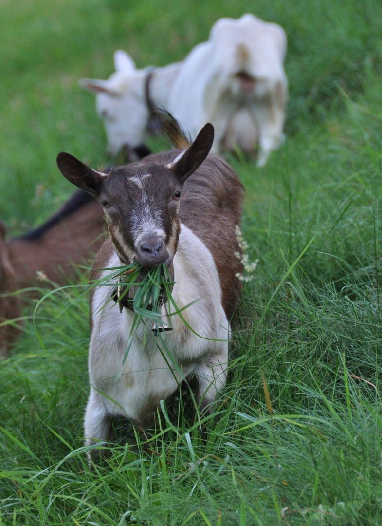 Mahlzeit!