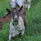 Mahlzeit!