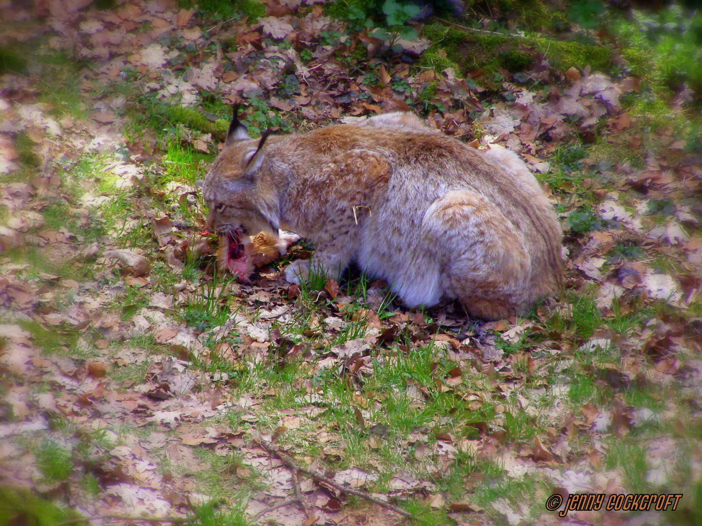 Mahlzeit!