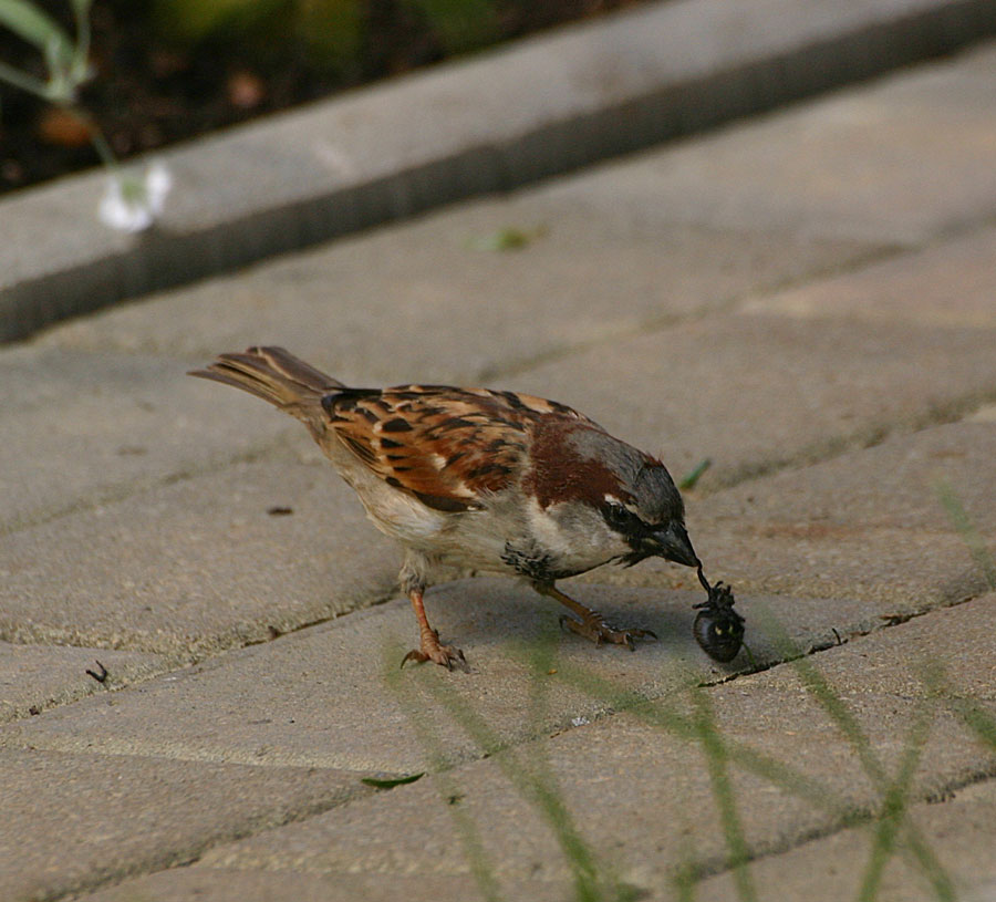 .. Mahlzeit ... :)