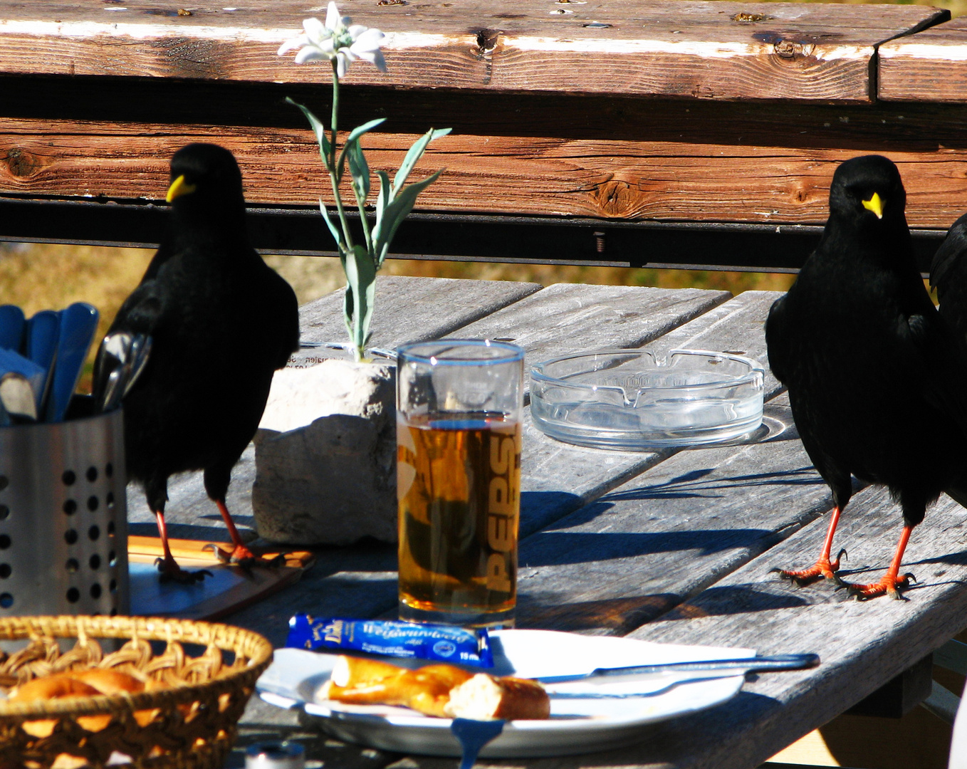 Mahlzeit