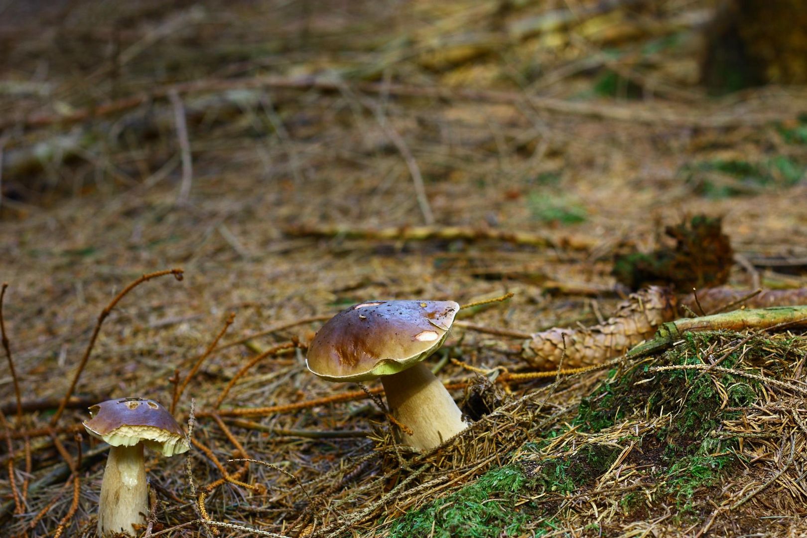 Mahlzeit