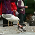 Mahlzeit!