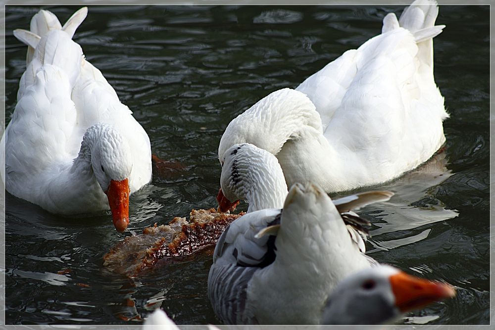 Mahlzeit