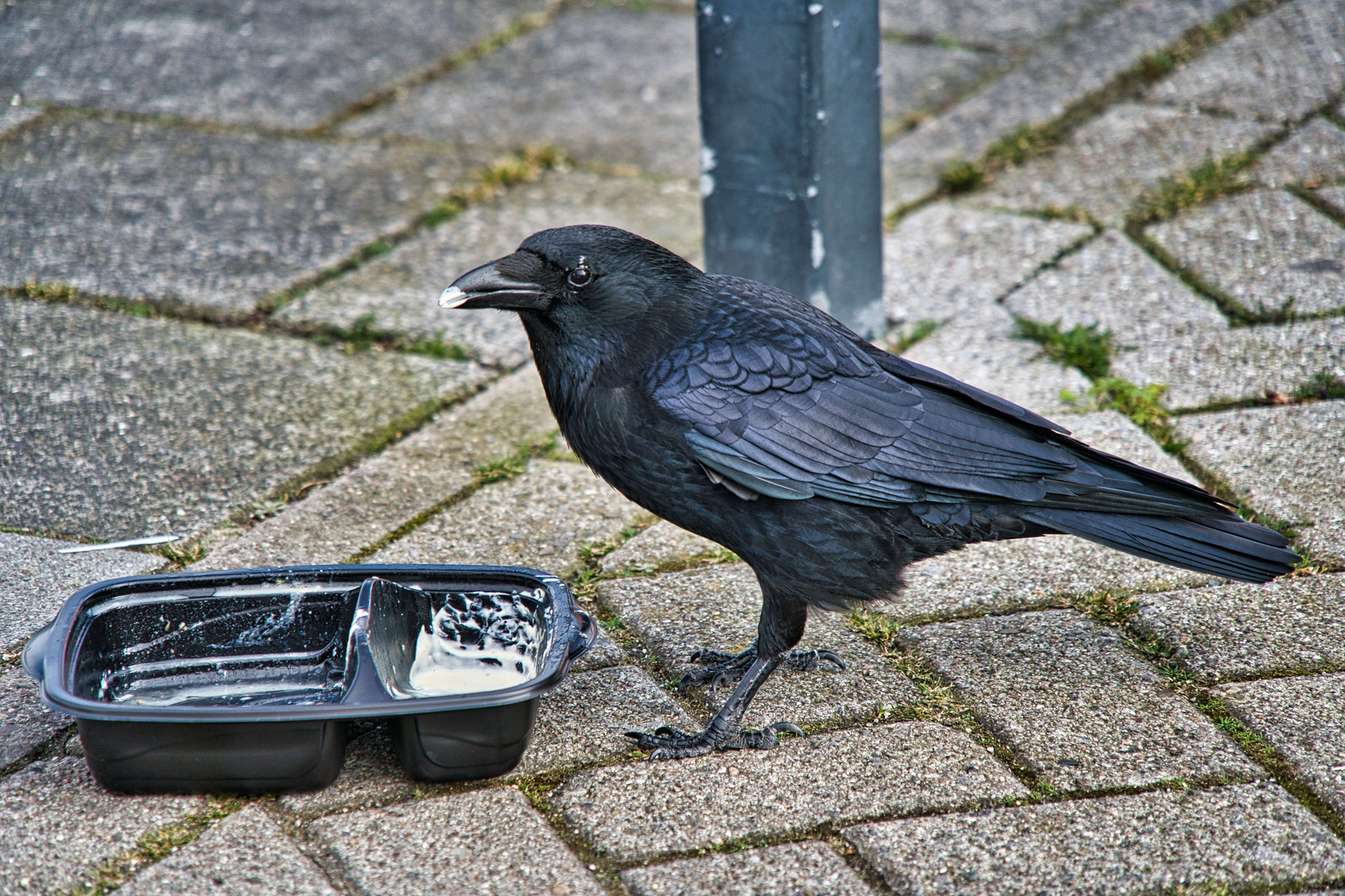 Mahlzeit