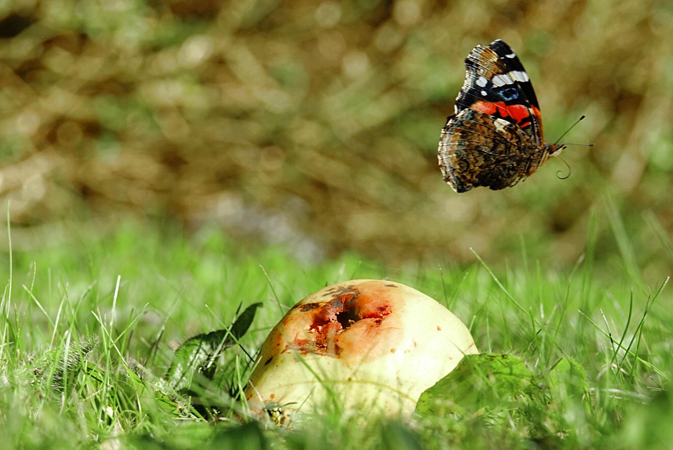 Mahlzeit !