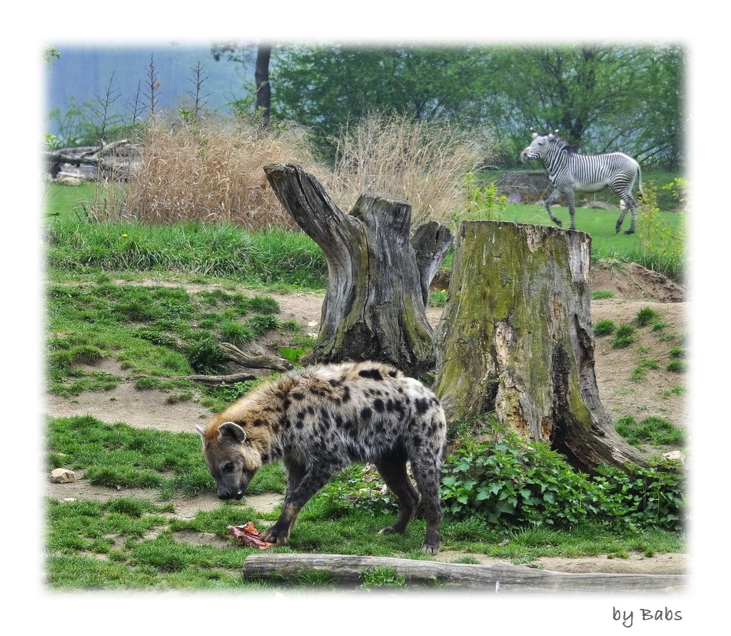 Mahlzeit im Hintergrund 