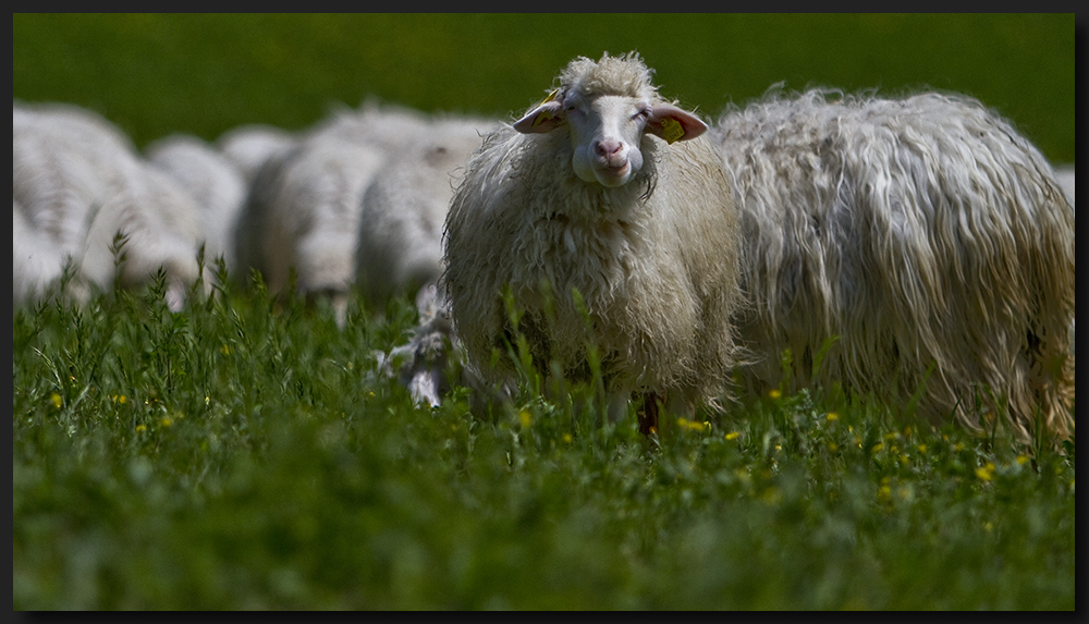 Mahlzeit... in der Toskana