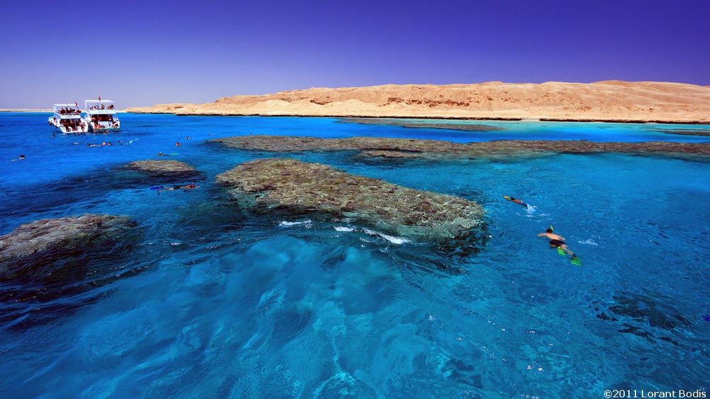 Mahmya Island in the Red Sea