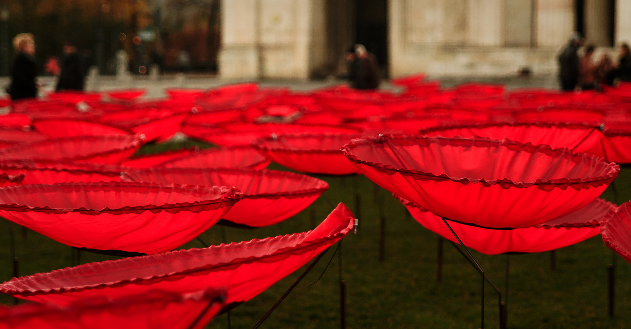 Mahnblumen Königsplatz München 2