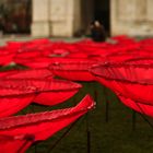 Mahnblumen Königsplatz München 2